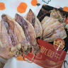 北海印象烧烤鱿鱼干淡干不咸KTV酒吧专用手撕干鱿鱼家用芥末尤鱼干货250g A3鱿鱼干 250g * 1袋 约15条 实拍图