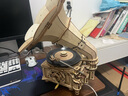 若客（ROKR）黑胶留声机 diy手工拼装模型玩具积木3D立体拼图创意新年生日礼物 实拍图