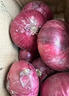 山东特产水果扁洋葱甜瓜口感红皮扁葱头生吃脆甜蘸酱好吃粉嫩 紫皮洋葱大果带箱 2斤 精选 实拍图