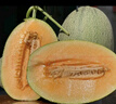 京鲜生 西州蜜哈密瓜 净重5-6斤 1-2粒装 源头直发 实拍图