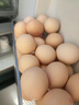 德青源无抗富硒鲜鸡蛋30枚3斤 鸡蛋京东自营礼盒装 营养早餐礼盒装 实拍图