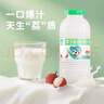 李子园【成毅代言】甜牛奶乳饮料荔枝味225ml*20瓶儿童奶早餐奶黑五 实拍图