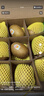 佳沛（zespri）新西兰 阳光金奇异果12粒礼盒特大果单果约122-146g 猕猴桃 水果 实拍图
