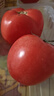 京鲜生 山东普罗旺斯番茄 净重4.5斤 单果125g+ 沙瓤西红柿 源头直发 实拍图