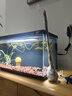 米家（MIJIA）小米米家智能生态鱼缸还原自然生态补仓一次三月无忧出差旅行必备 实拍图
