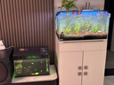 米家（MIJIA）小米米家智能生态鱼缸还原自然生态补仓一次三月无忧出差旅行必备 实拍图
