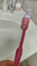 狮王（Lion）DENT齿科级口腔护理儿童柔软细毛小头超薄牙刷6-12岁1支 颜色随机 实拍图