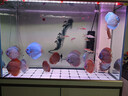 马印马印神灯龙鱼灯专用水族箱灯三基色增色灯水草鱼缸灯 led灯防水 马印增艳神灯(92CM-(30W)) 实拍图