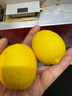 京鲜生 安岳黄柠檬16粒 单果95g-120g 生鲜水果 实拍图