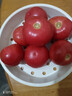 正宗沙瓤西红柿水果番茄自然熟新鲜蔬菜生鲜减肥单果80g起 1斤 带箱 实拍图