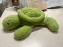 伊美娃娃乌龟玩偶公仔桌伴娃娃儿童毛绒玩具送女孩女生圣诞节礼物生日礼物 实拍图