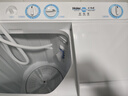 海尔（Haier）双桶洗衣机半自动 家用大件洗 10公斤大容量 省水电 以旧换新 双缸 原厂品质XPB100-81D2 实拍图