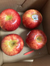 爱妃 美国苹果 尝鲜果4粒装 水果礼盒 进口生鲜 单果160g起 源头直发 实拍图
