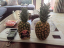 佳农 黑钻菠萝1粒装 菲律宾凤梨 净重2斤起 生鲜水果 源头直发 包邮 实拍图