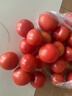 【超市精选】山东沙瓤水果西红柿新鲜番茄蔬菜减肥单果100g起 西红柿中大果 4斤 带箱 实拍图