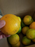 京鲜生 云南哀牢山冰糖橙/橙子 净重5斤  单果100-130g 生鲜水果礼盒 实拍图