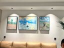 墨派（Mopai）客厅装饰画手绘油画沙发背景墙挂画抽象肌理感高级感三联壁画 莫奈系列 中套(左右50x70+中100x70)手绘 实拍图