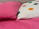 洁丽雅（Grace）纯棉A类纤维枕枕头枕芯单人成人高弹羽丝绒枕头芯单只装 实拍图
