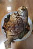1号会员店（One's Member）甄选海南二去金鲳鱼去鳃去内脏生鲜鱼类 海鲜水产 700g/2条装 实拍图