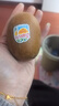 佳沛（zespri）新西兰  阳光金奇异果10粒礼盒巨大果单果约144-175g 水果 猕猴桃 实拍图