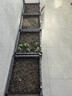 原起点阳台楼顶种菜箱长方形蔬菜种植箱神器种菜盆菜箱塑料花箱户外 架高双排加深4联箱100*80*49cm 实拍图