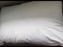 水星家纺枕头枕芯酒店枕头护颈枕头芯家用一对纯棉抗菌可水洗中枕48x74cm 实拍图