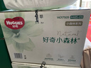 好奇（Huggies）小森林拉拉裤XL32+2片(12-17kg)尿不湿心钻【透氧顶配更低敏】 实拍图