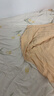 LOVO罗莱生活 100%纯棉四件套全棉超柔套件 床上用品单双人床单被套 【四季/全棉款】亭亭郁丽 1.5/1.8m 床单款 -被套200*230cm 实拍图