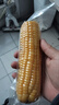 京鲜生 东北黄玉米净重3.6斤 8根*220g+ 真空包装加热即食 源头直发 实拍图