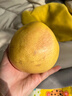 福建平和老树红柚 老少皆宜水果 1-1.5斤一粒 皮薄肉厚多汁 实拍图