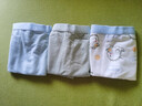 京东京造儿童内裤男童中大童云柔棉平角开学3条 萌宠小龙150 实拍图
