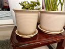 九千谷仿陶瓷树脂花盆高款米色2个装 室内阳台种植花盆口径15cm含托8502 实拍图