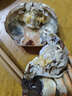 【活蟹】宿有千香霸王蟹 鲜活大闸蟹 公4.0-4.3两 母3.0-3.3两 4对8只 生鲜螃蟹 实拍图