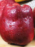 京鲜生 天水花牛苹果 净重7斤 单果260g+ 生鲜水果源头直发 实拍图