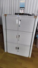 中伟（ZHONGWEI）不虚标加厚钢板办公文件柜矮柜钢制铁皮柜储物柜财务资料柜档案柜 实拍图