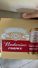百威（Budweiser）淡色拉格啤酒 500ml*18听整箱装 经典纯生京东自营 实拍图