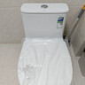 恒洁（HEGII）京东联名马桶S3 家用虹吸新版马桶513小户型坐便器DCF0300PT-400 实拍图