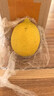 广东香水黄柠檬新鲜柠檬奶茶店专用香水黄柠檬水果产地源头直发 （带箱1斤）香水柠檬黄果单果70g起 实拍图