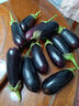 山东新鲜绿把紫皮长茄现摘现发新鲜嫩茄新鲜时令蔬菜生鲜 新鲜绿把紫茄 1斤 现摘现发 实拍图