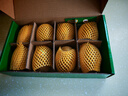 佳沛（zespri）新西兰阳光金奇异果 8个装 特大果单果重约122-146g 水果猕猴桃 实拍图