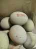 鄱湖鸭舍 无铅松花蛋皮蛋溏心松花皮蛋无铅工艺变蛋厂家麻鸭蛋批发 60-70克/枚【10枚-优惠】 实拍图
