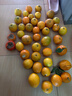土八鲜江西橙子赣南脐橙新鲜水果赣州脐橙手剥甜橙礼盒 净重9-10斤（单果110-160g） 实拍图