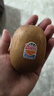 佳沛（zespri）新西兰  阳光金奇异果10粒礼盒巨大果单果约144-175g 水果 猕猴桃 实拍图