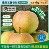 隰县玉露香梨 【顺丰现货】整箱香梨当季水果山西隰县小西天特产 孕妇水果送礼 9粒大果（净重5-6斤）单果80+mm 实拍图