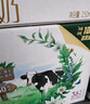 伊利金典高钙低脂纯牛奶整箱250ml*12盒（新老包装随机）礼盒装 实拍图
