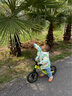 酷骑儿童平衡车1-7岁宝宝滑步车12寸镁合金车身充气轮S3酷骑绿 酷奇 实拍图