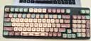 罗技（Logitech）K868客制化机械键盘 有线无线蓝牙三模键盘 办公游戏电竞键盘K865升级款98配列键盘Gasket结构AI K868黑色-卡皮巴拉 实拍图