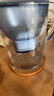碧然德（BRITA） 家用滤水壶 净水壶滤芯 Maxtra 多效滤芯 6枚装 实拍图