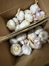 【营田半亩】蒜干蒜头蒜大蒜紫白皮大蒜当季蔬菜0.5-5斤 2斤带箱重【果径4.5-5cm】大果 实拍图