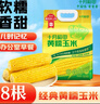 十月稻田 黄糯玉米 3.52斤(220g*8根)  杂粮粗粮 东北玉米 低脂早餐 新米 实拍图